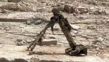 Gjendet mortajë pranë kanalit të ujërave të larta, policia rrethon zonën