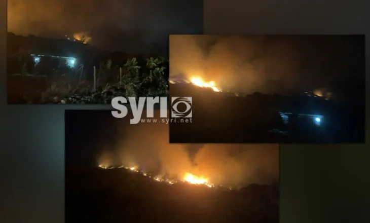 Gjirokastër/ Zjarri në fshatin Dragot po përhahet me shpejtësi, e vështirë ndërhyrja