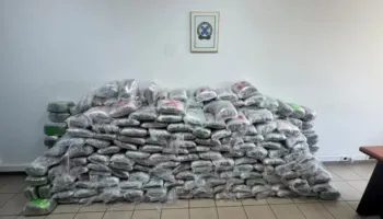 Goditet organizata kriminale, trafikonte kanabis nga Shqipëria drejt Turqisë