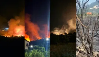 I dyshuar për zjarrin në Krujë, prokuroria urdhëroi lirimin e të moshuarit/ Nuk ka prova, u gjet duke fikur zjarrin