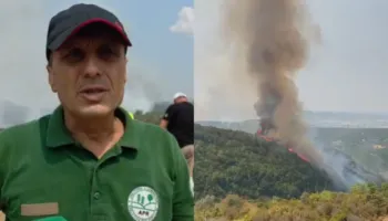 “Janë djegur rreth 20 hektarë”/ Zjarri në 4 fshatra në juglindje të Tiranës, inspektori i APR: Shumica janë pyje…
