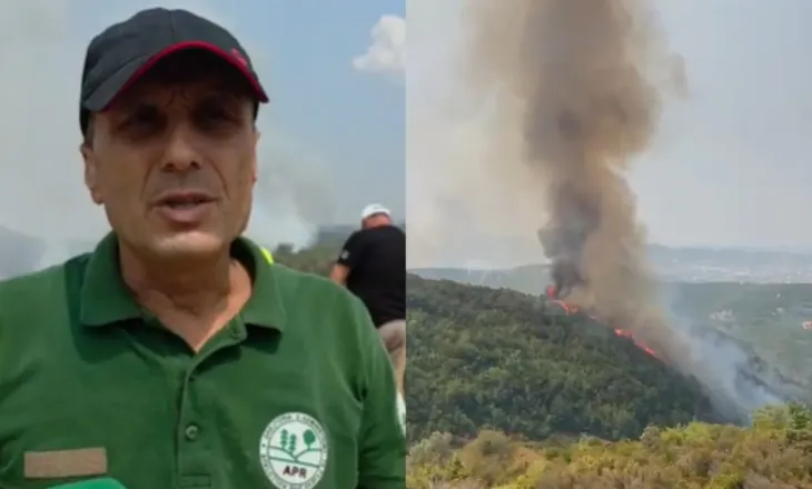 “Janë djegur rreth 20 hektarë”/ Zjarri në 4 fshatra në juglindje të Tiranës, inspektori i APR: Shumica janë pyje…