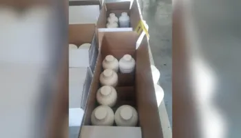 Kapen 80 litra insekticide pa dokumente në Portin e Durrësit
