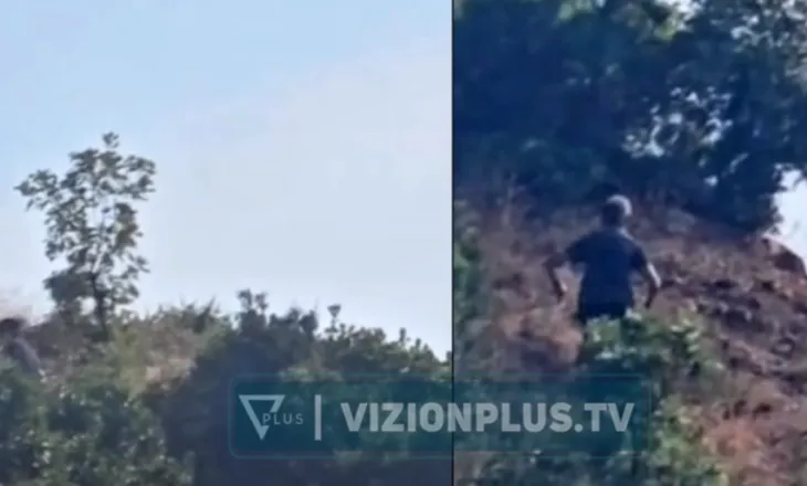 Kapet në flagrancë zjarrvënësi në Mirditë, Lamallari thirrje Prokurorisë: Çojeni çështjen deri në fund!