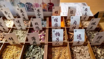 Kina synon shërbime më të fuqishme të mjekësisë tradicionale