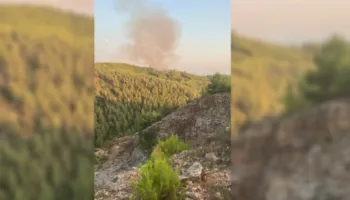 Kruja nuk gjen qetësi nga zjarret, në flakë zona pyjore në Krastë! Ndërhyhet nga ajri