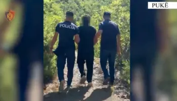 Kultivonte 105 bimë kanabisi dhe mbante pistoletë në banesë, arrestohet 58-vjeçari në Pukë