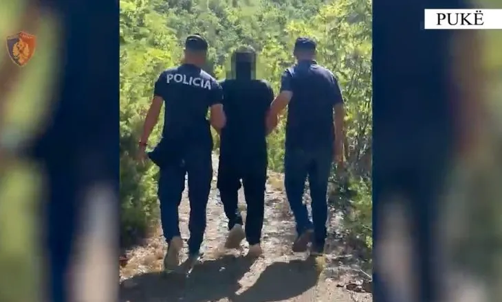 Kultivonte 105 bimë kanabisi dhe mbante pistoletë në banesë, arrestohet 58-vjeçari në Pukë