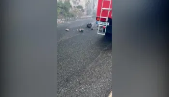 ‘Largohu!’/ Pas zjarrit, rrezik i ri në Abaze të Krujës, gurët shkëputen nga mali
