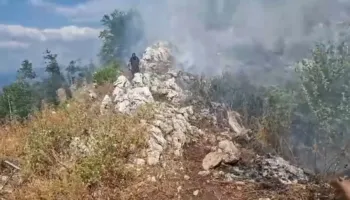 Librazhd, zjarri përfshin masivin pyjor në Malin e Polisit, dyshohet i qëllimshëm