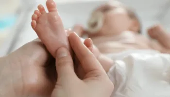 Lindjet bien në Tiranë dhe rriten në qarqe, të rinjtë po largohen nga kryeqyteti i shtrenjtë