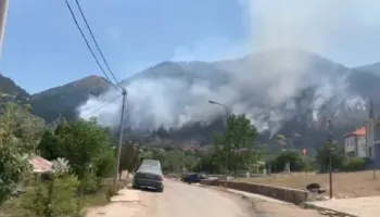 Mali i Dejës nuk duket më nga shtëllungat e tymit, flakët përfshijnë zonën pyjore në Mat