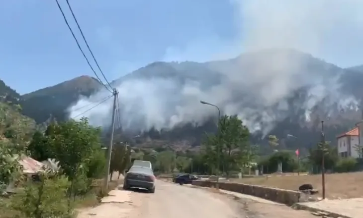 Mali i Dejës nuk duket më nga shtëllungat e tymit, flakët përfshijnë zonën pyjore në Mat
