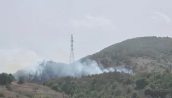 Maliq/ Zjarr në pyje dhe kullota në Plovisht, nuk dihen shkaqet