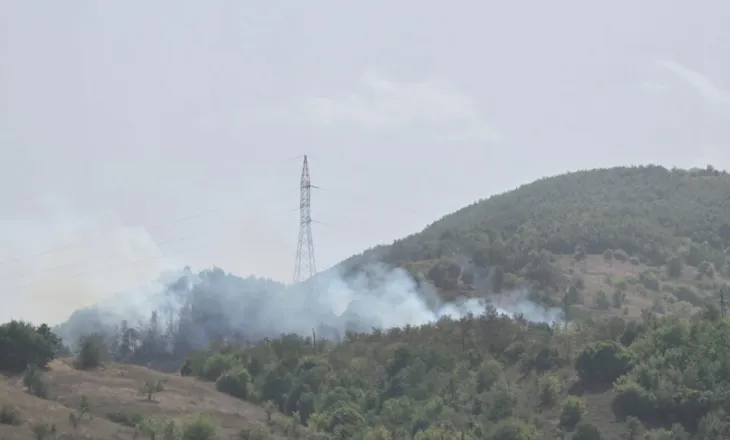 Maliq/ Zjarr në pyje dhe kullota në Plovisht, nuk dihen shkaqet