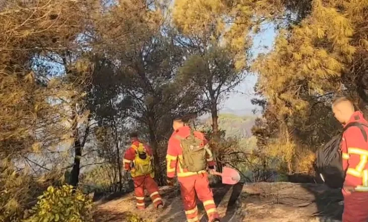 Mallakastër/ 70 forca punojnë për vatrat e zjarreve në Lofkënd-Ngraçije dhe Gjinoqare