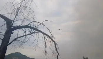 Mallakastër/ Flakët në masivin pyjor të Lofkendit jashtë kontrollit, rinis ndërhyrja nga ajri me helikopter