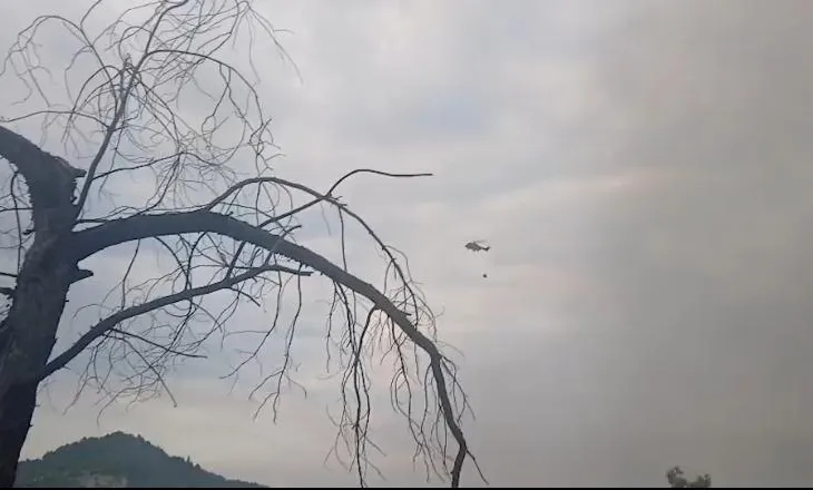 Mallakastër/ Flakët në masivin pyjor të Lofkendit jashtë kontrollit, rinis ndërhyrja nga ajri me helikopter