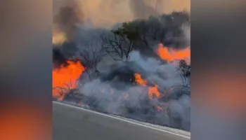Mallakastër/ Zjarr në zonën e ‘Qafës së Vidhit’, digjen 10 hektarë me ullishte e shkurre! Flakët pranë banesave dhe…