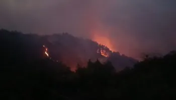 Mallakastër/ Zjarri mbetet aktiv në Panahor-Ngraçan, zjarrfikësit ndërpresin operacionin për shkak të errësirës