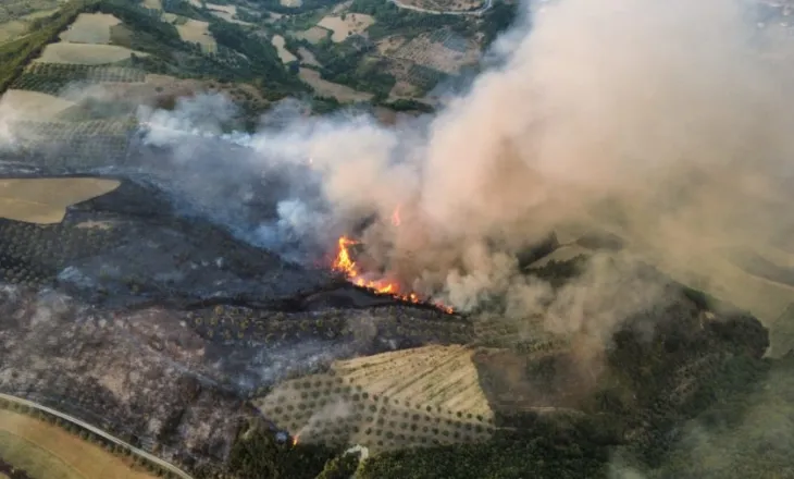 Mallakastra po digjet/ Vatër e re zjarri në Hekal, në Koilaç ndërhyet nga ajri! Sipërfaqe të tëra shkrumb e hi