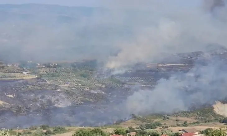 Mallakastra rrethohet nga flakët, rrezikohen banesat në fshatin Koilac, evakuohen disa familje