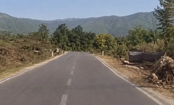 Masakër mjedisore në hyrje të Bajram Currit: Priten pemët përgjatë rrugës, humbet gjelbërimi…Kush e dha lejen? (VIDEO)