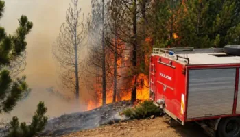 Masivi pyjor i Tërbunit në Pukë vijon të digjet, zjarrfikësit përballen të vetëm me flakët, era vështirëson situatën