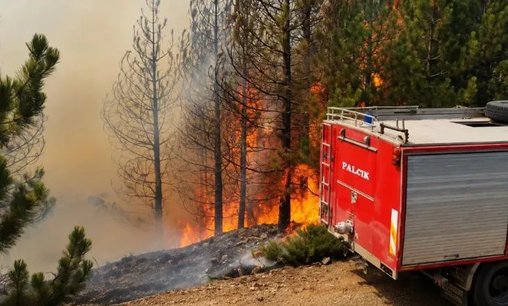 Masivi pyjor i Tërbunit në Pukë vijon të digjet, zjarrfikësit përballen të vetëm me flakët, era vështirëson situatën