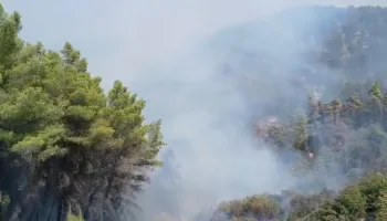 Masivi pyjor në Drenije në rrezik nga flakët, zjarrfikësit përballë terrenit të vështirë