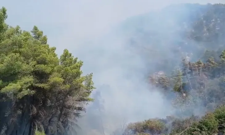 Masivi pyjor në Drenije në rrezik nga flakët, zjarrfikësit përballë terrenit të vështirë