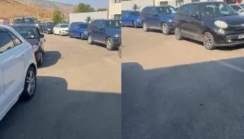 Mbi 10 mijë udhëtarë kalojnë kufirin në 24 orë në Qafë Botë