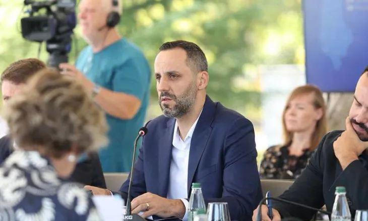 Mbledhja e qeverisë në Pogradec, Lamallari: Prioritet, siguria publike dhe modernizimi i Policisë së Shtetit