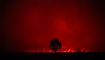 Mbrojtja Civile: 25 vatra zjarri në 24 orë, 9 prej tyre mbeten aktive