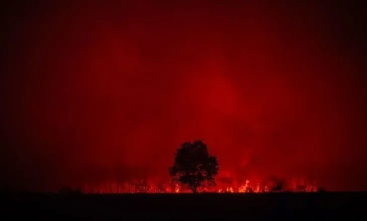 Mbrojtja Civile: 25 vatra zjarri në 24 orë, 9 prej tyre mbeten aktive