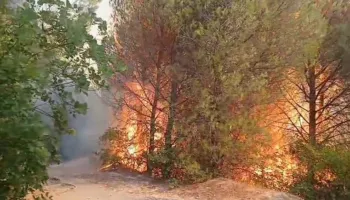 Mbrojtja Civile: 35 vatra zjarri në 24 orë, 8 ende aktive, vijojnë operacionet në Tiranë, Krujë dhe Dibër
