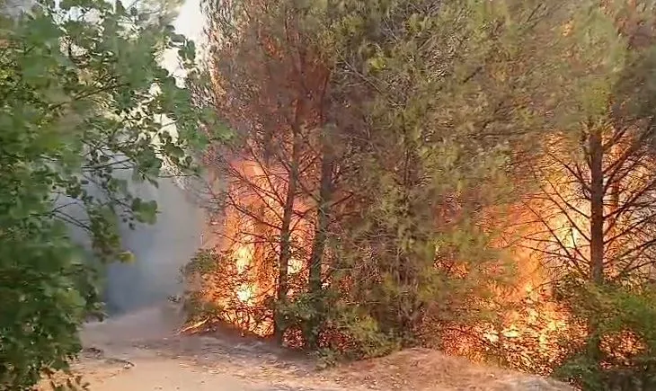 Mbrojtja Civile: 35 vatra zjarri në 24 orë, 8 ende aktive, vijojnë operacionet në Tiranë, Krujë dhe Dibër