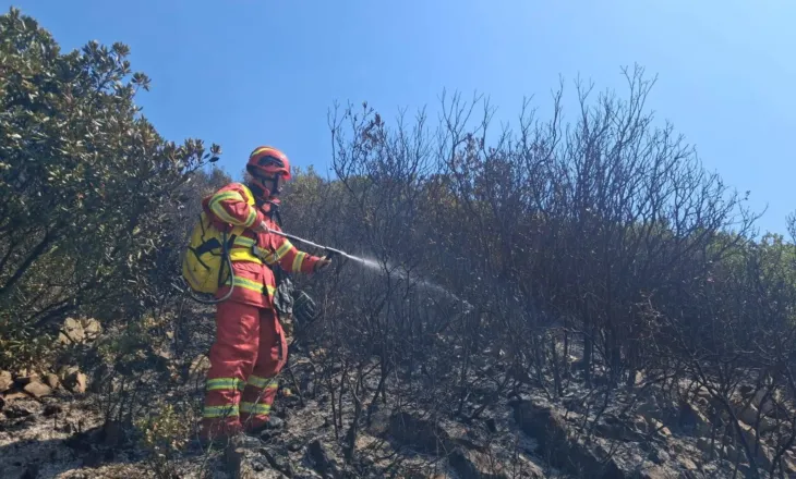 Mbrojtja Civile: 418 ha sipërfaqe e djegur në 24 orë, nga 45 vatra zjarri, 12 ende aktive