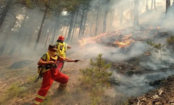 Mbrojtja Civile: 7 vatra zjarri ende aktive, luftë me flakët në Dajt, Mallakastër, Elbasan dhe Dropull
