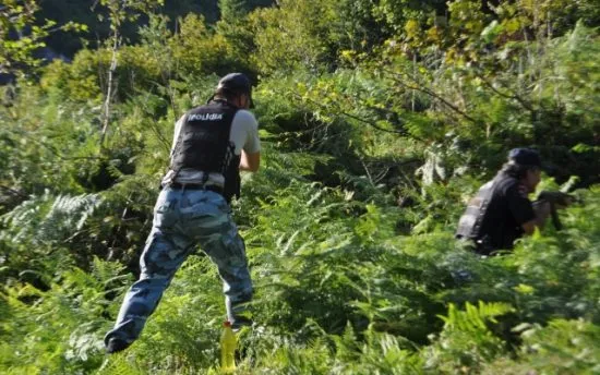 Mbushën pyjet e Fushë-Arrëzit me hashash, arrestohen 2 persona! Kultivuan qindra bimë narkotike në 15 parcela