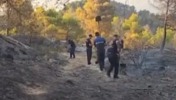 Me lopata dhe kazma në duar, dhjetëra forca përpiqen të frenojnë përhapjen e flakëve në Mallakastër