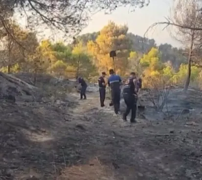 Me lopata dhe kazma në duar, dhjetëra forca përpiqen të frenojnë përhapjen e flakëve në Mallakastër