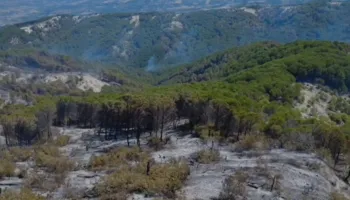 Merr fund beteja me flakët, nuk ka më vatra aktive zjarri në Drënie dhe Vlosh