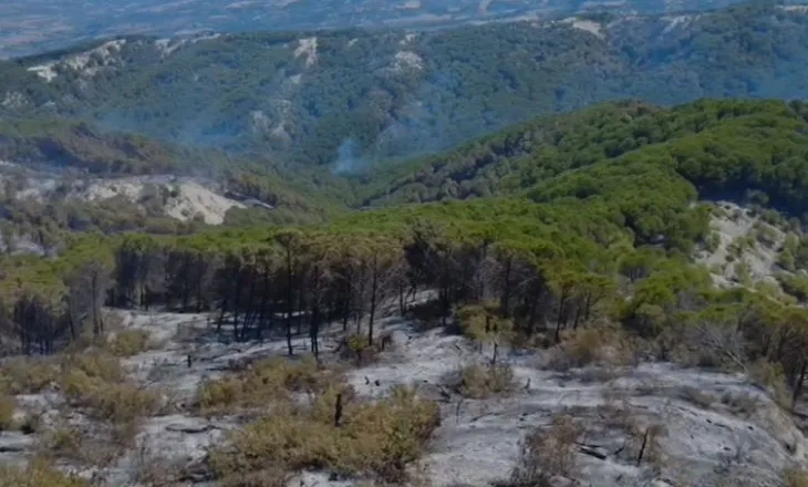 Merr fund beteja me flakët, nuk ka më vatra aktive zjarri në Drënie dhe Vlosh