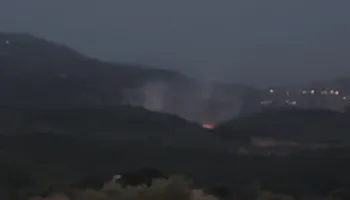 Merr zjarr pylli me pisha në Peshtan të Fierit