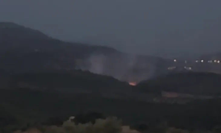 Merr zjarr pylli me pisha në Peshtan të Fierit