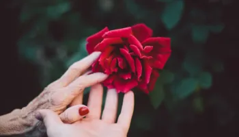 Na ishte njëherë një grua që u dashurua sërish
