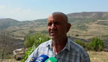 “Na rrënoi ekonominë”/ Flakët shkrumbuan ullishtet, banorët e Koilaçit: Zjarri shkatërroi gjithçka