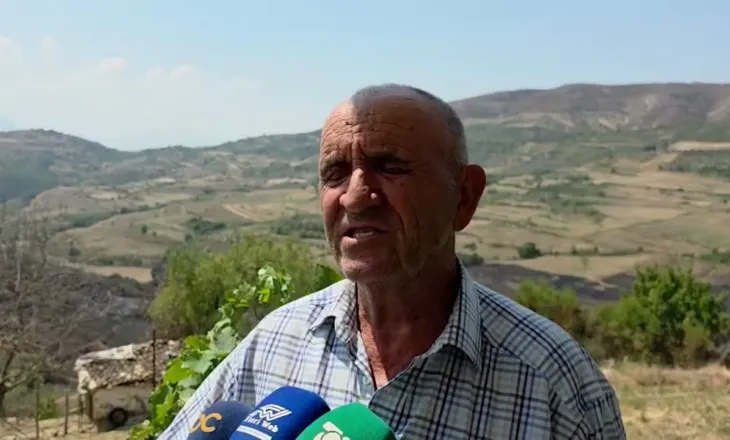 “Na rrënoi ekonominë”/ Flakët shkrumbuan ullishtet, banorët e Koilaçit: Zjarri shkatërroi gjithçka