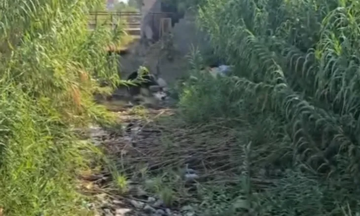 Ndoja: Kanale kulluese të pa pastruara, kazanët plehrash plot, kjo është gjendja në Shkozet, ish-Kënetë, Vëllazërim dhe Durrës